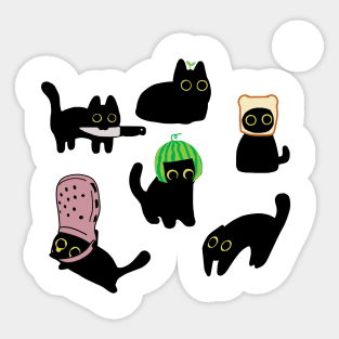 Funny Black Cats Memes Sticker